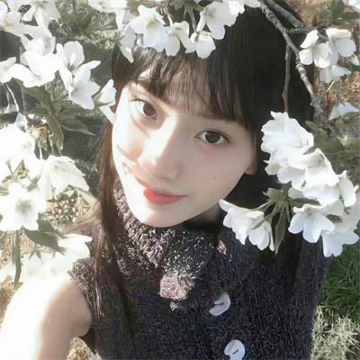我杀了安迪·沃霍尔